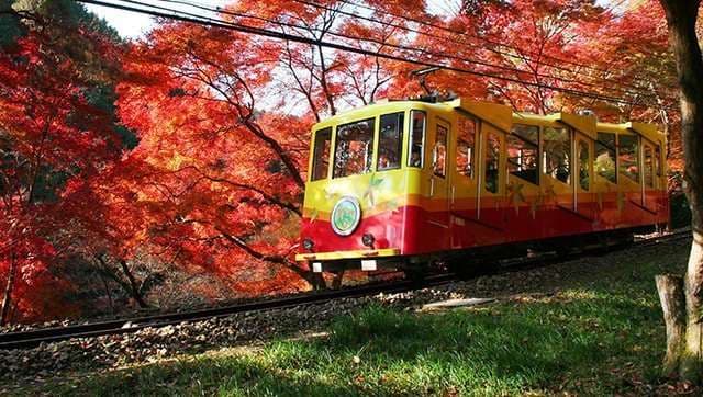 Mt Takao - zubačka