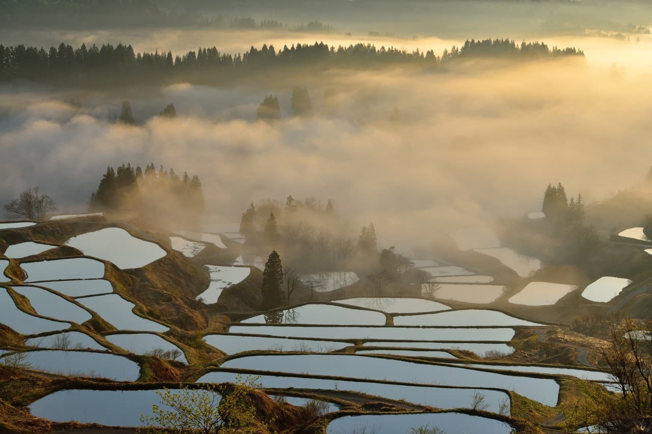 Niigata 1