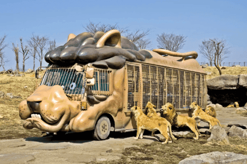 Beppu - safari bus